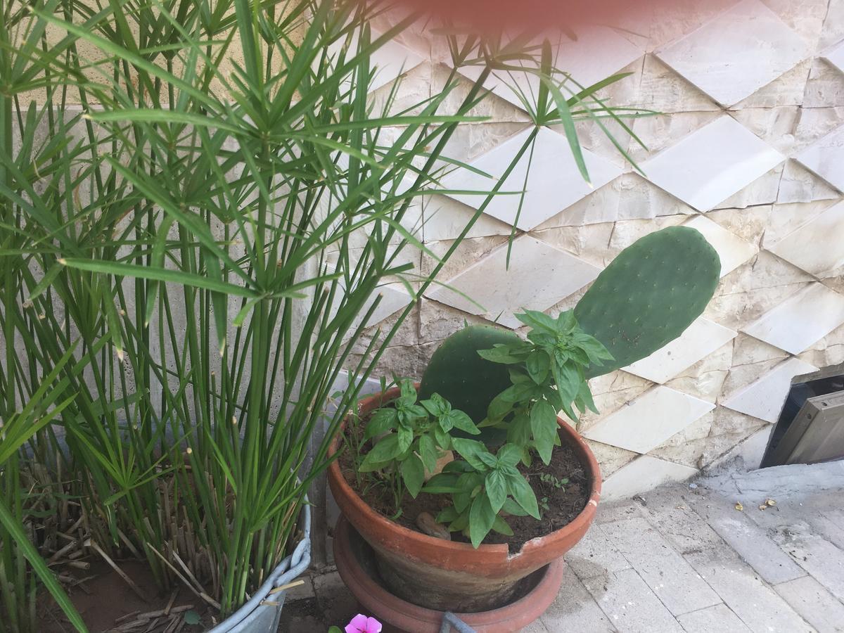 Casa Vacanze Le Rose Marina di Ragusa Exterior foto
